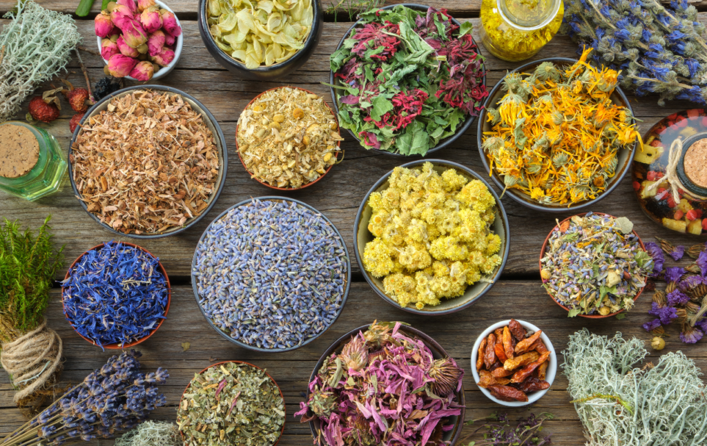 Grow a Tea Garden - Top 10 Herbs for Your Own Blend!